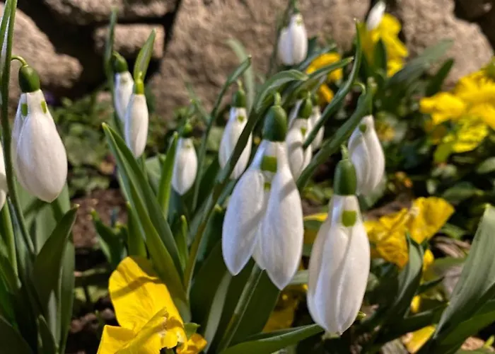 招待所 къща стария град 3*